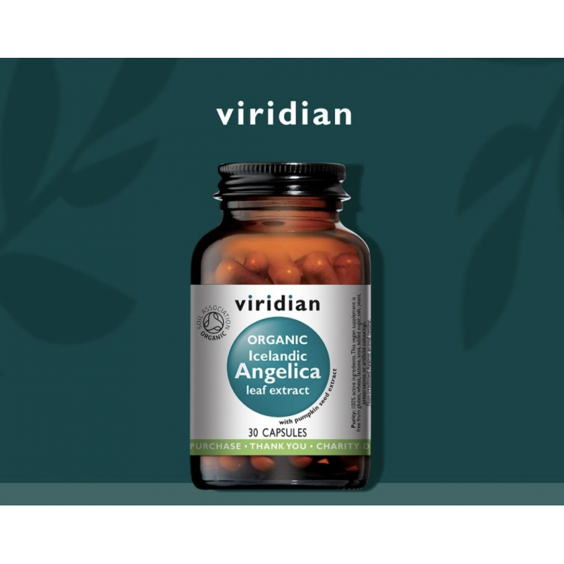 Maisto papildas Ekologiška Vaistinė Šventagaršvė „Organic Icelandic Angelica leaf extract“, VIRIDIAN, 30 kaps.