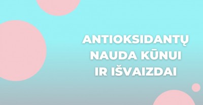 Antioksidantai – nauda ne tik kūnui, bet ir išvaizdai