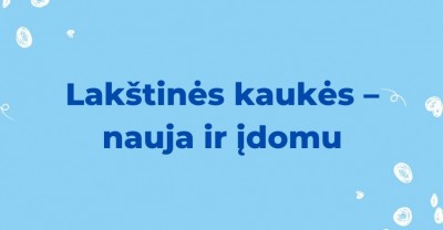 Lakštinės kaukės – įdomu ir nauja