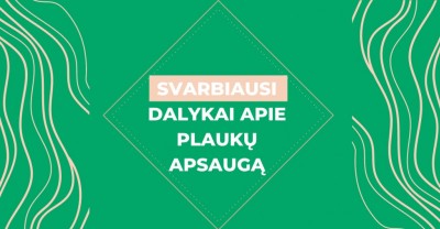 Plaukų apsauga: ką svarbu žinoti?