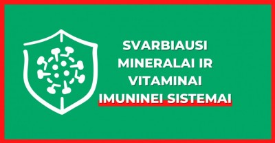 4 svarbiausi mineralai ir vitaminai imuninei sistemai